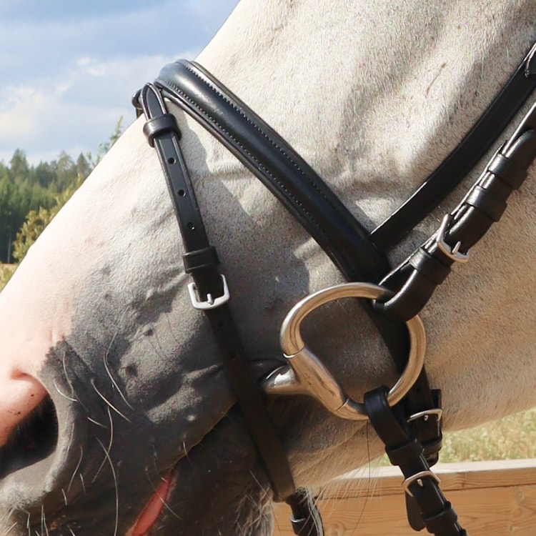 Equestrian Essentials Vital Hoofdstel, inclusief teugels