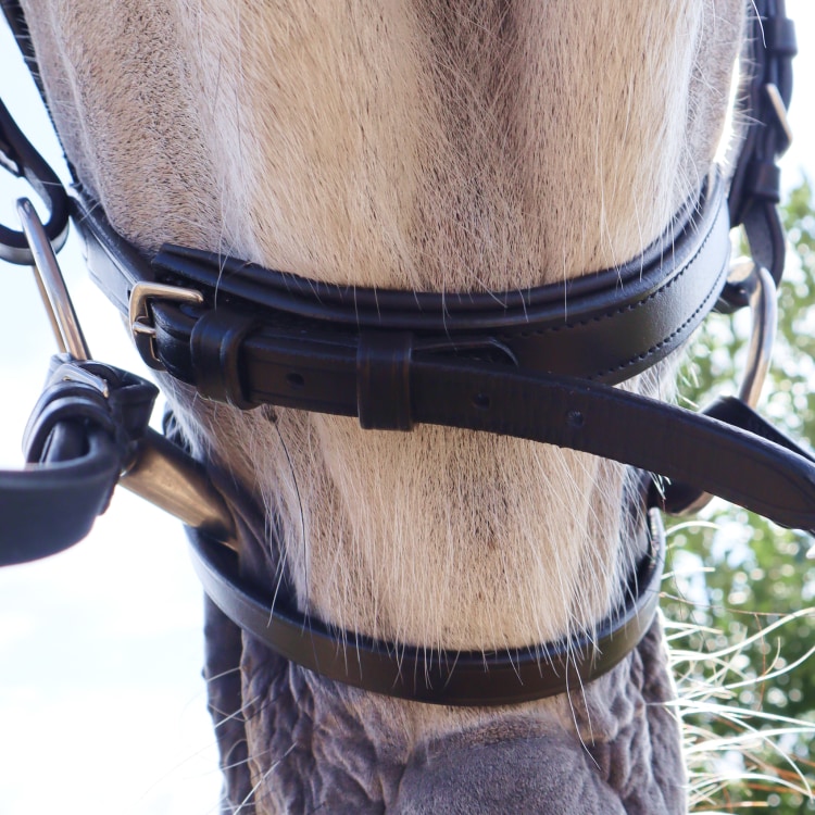 Equestrian Essentials Vital Bridle, with reins