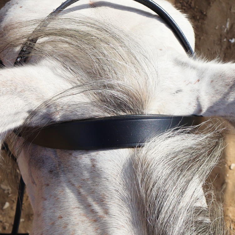 Equestrian Essentials Vital Bridle, with reins