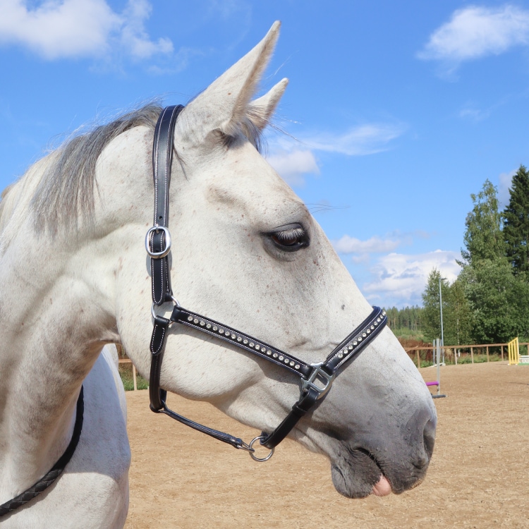 Equestrian Essentials Halter Softy with Crystals