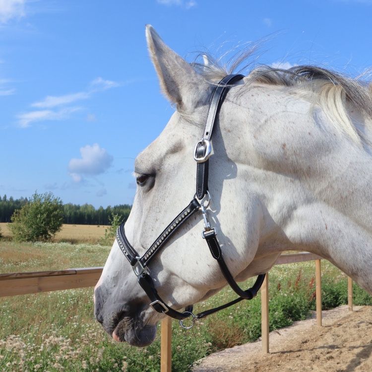 Equestrian Essentials Halter Softy with Crystals