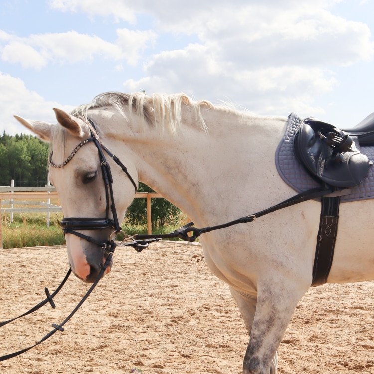 Equestrian Essentials inspänningstyglar i läder med gummiringar