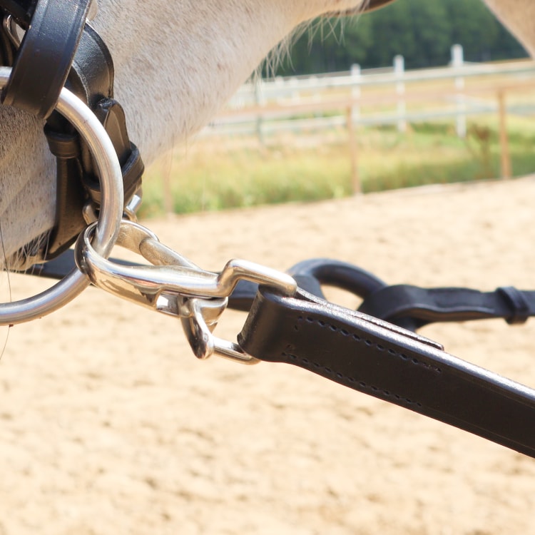 Equestrian Essentials Enrênement latéral à anneaux en caoutchouc