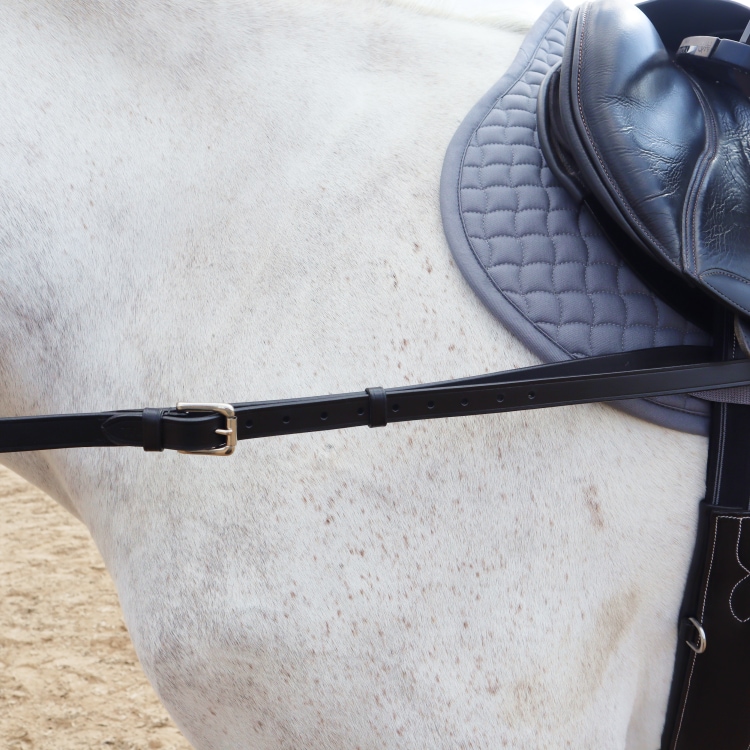 Equestrian Essentials Lederausbinder mit Gumminoppen