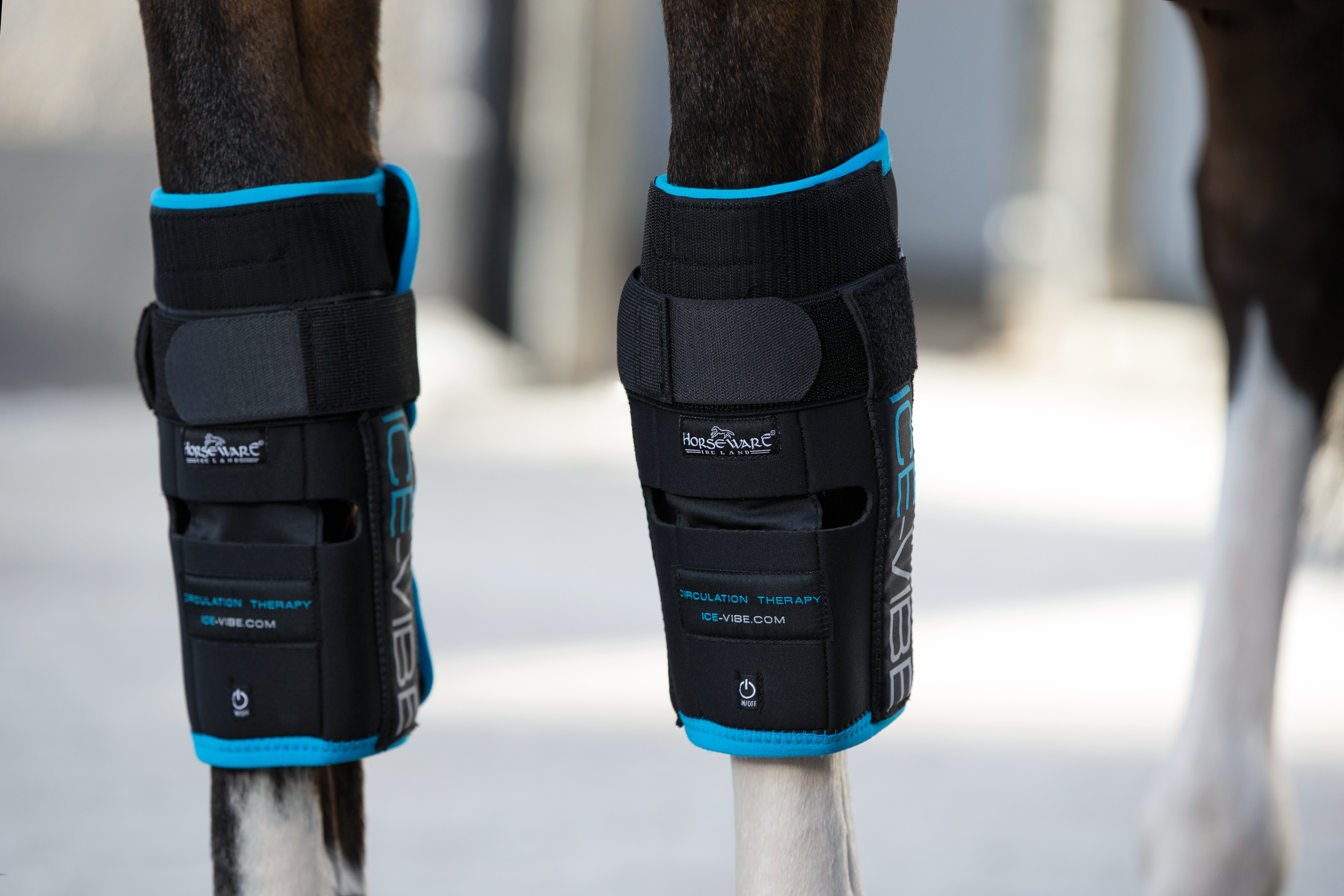 Horrseware Ice-Vibe HW Knee Wrap