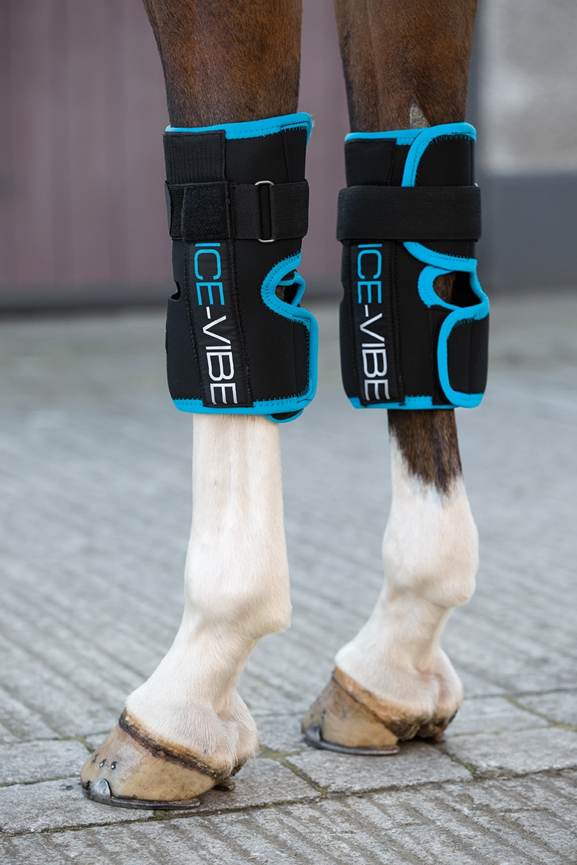 Horrseware Ice-Vibe HW Knee Wrap