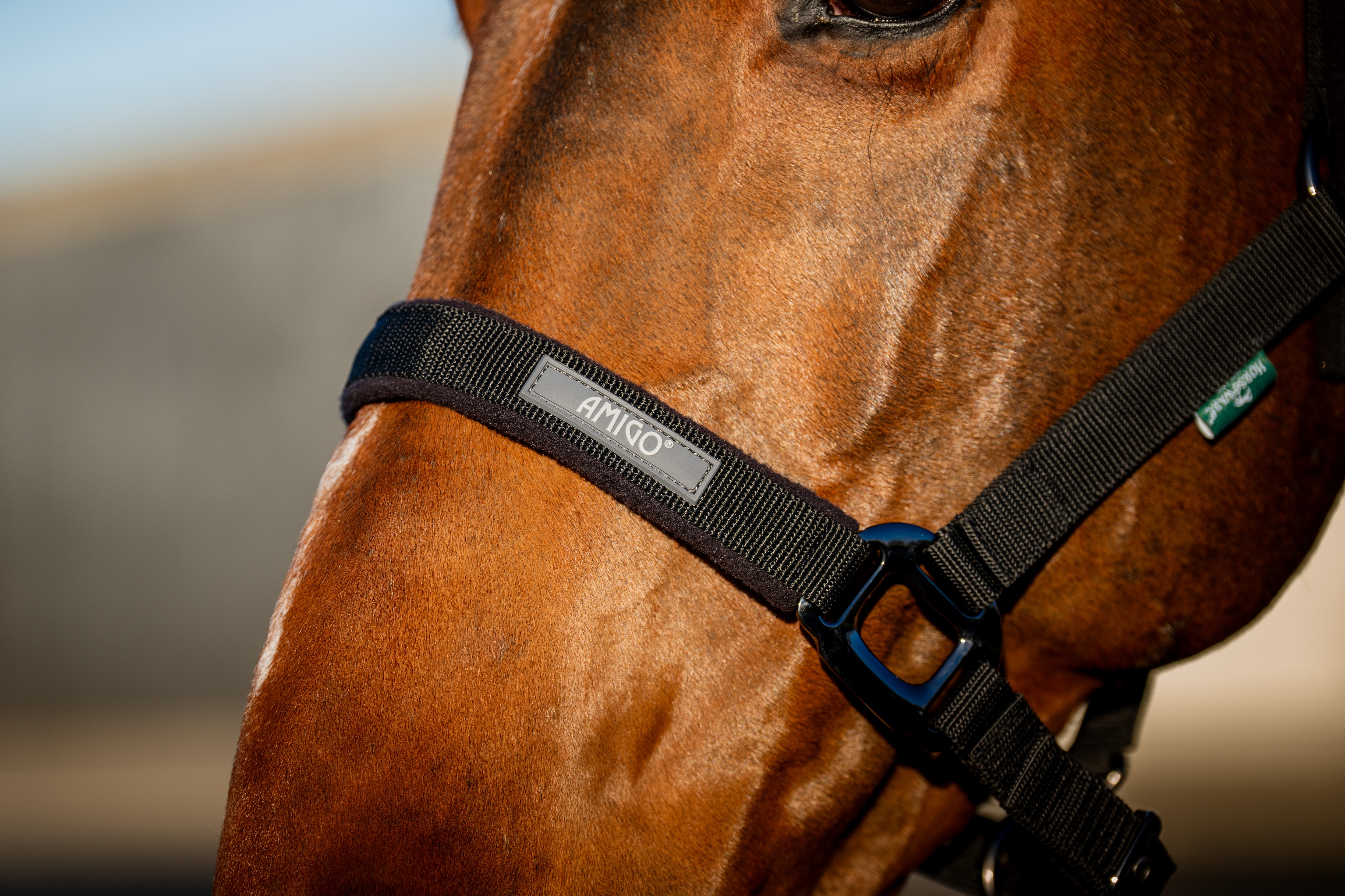 Horseware Amigo Halfter und Strick-Set