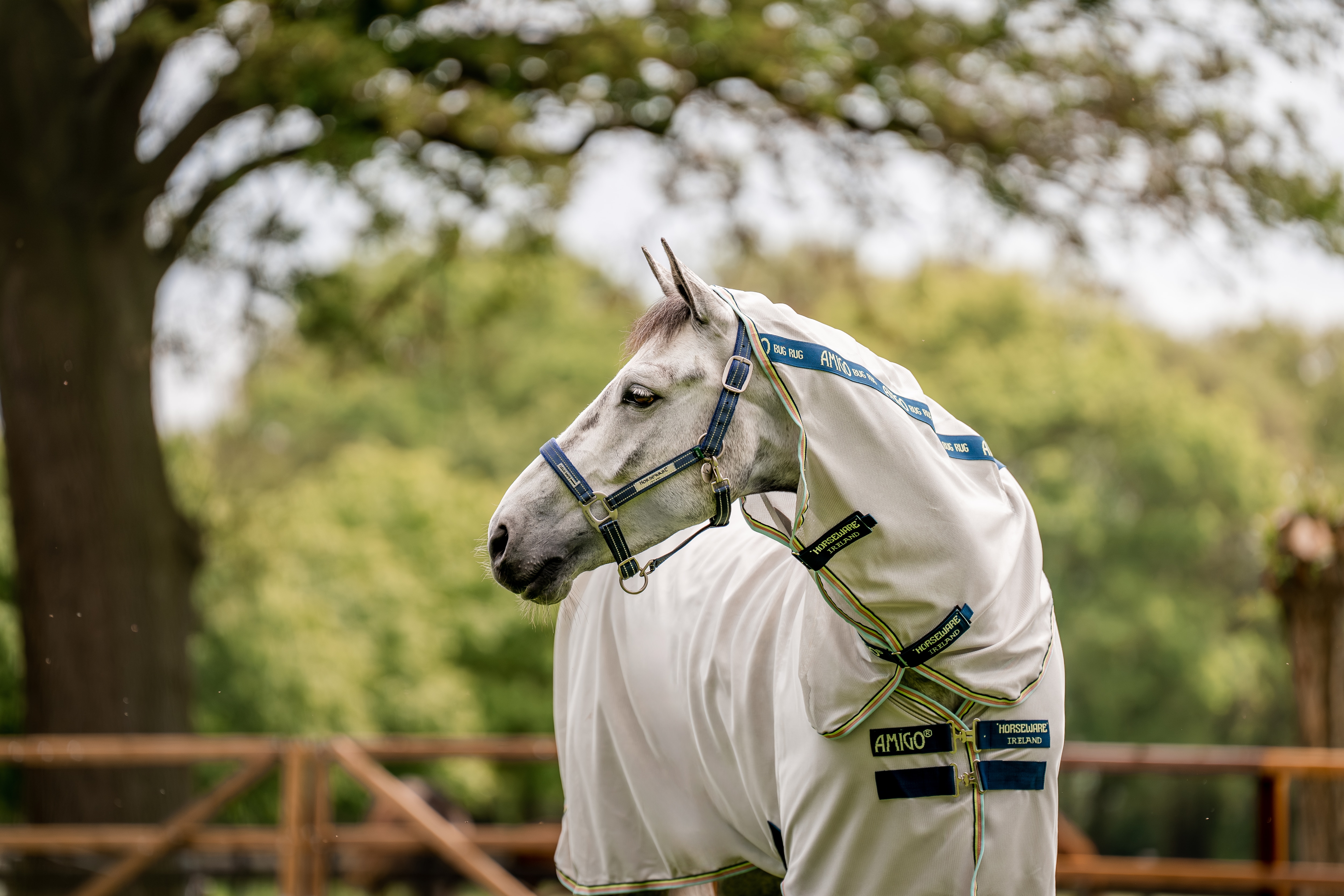 Horseware® Fieldsafe Headcollar