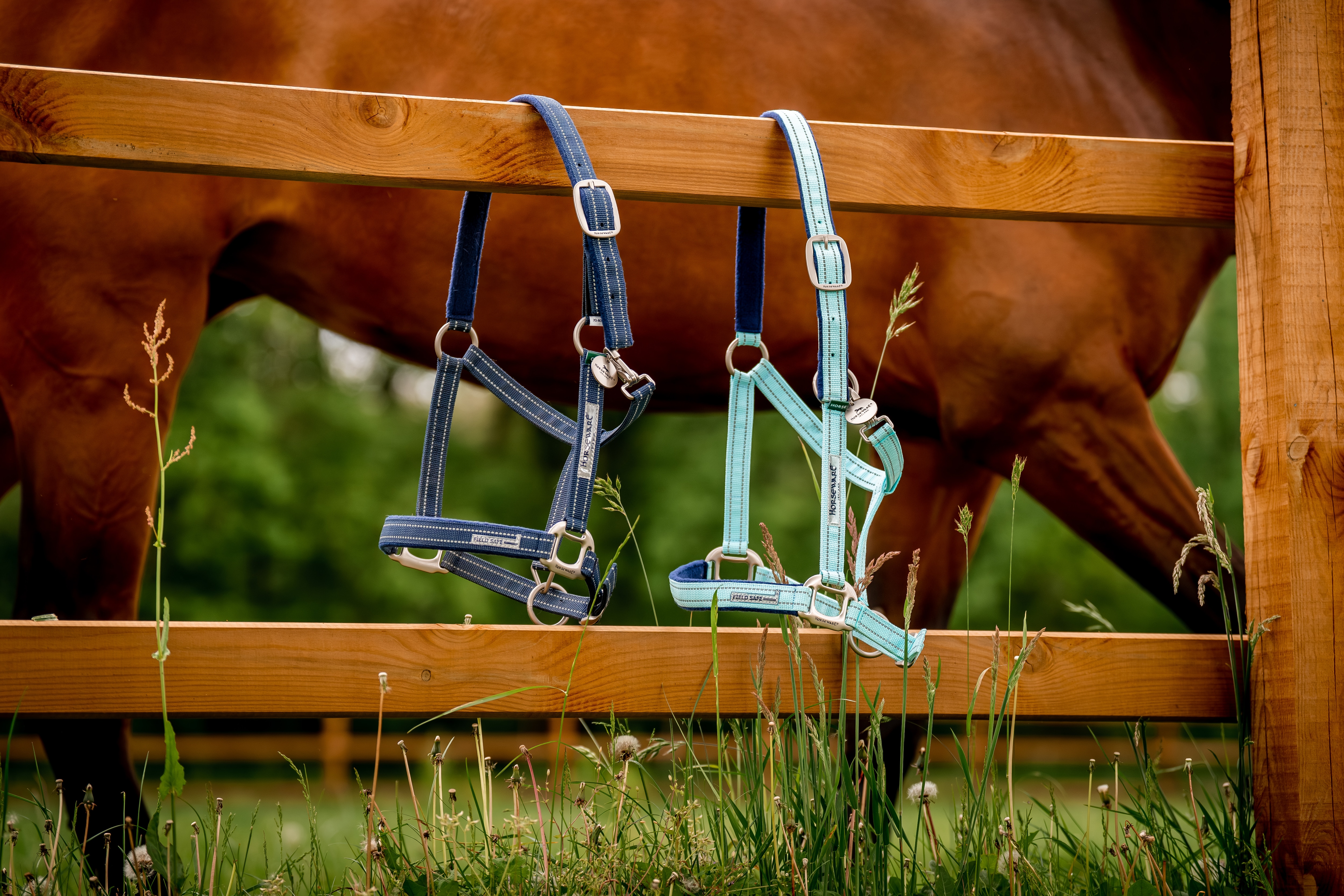 Horseware® Fieldsafe Headcollar