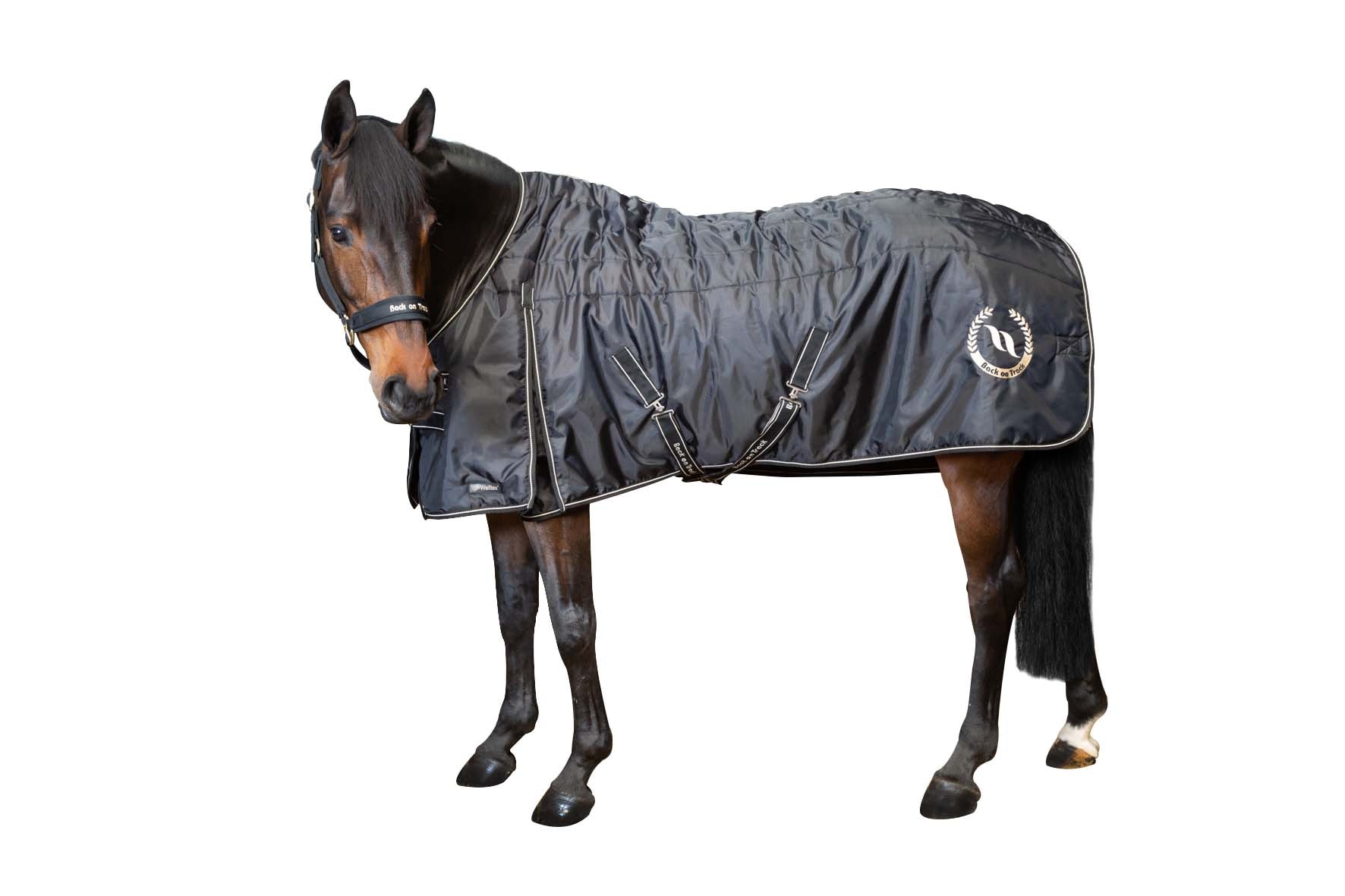 Back On Track Millie stable rug 200g