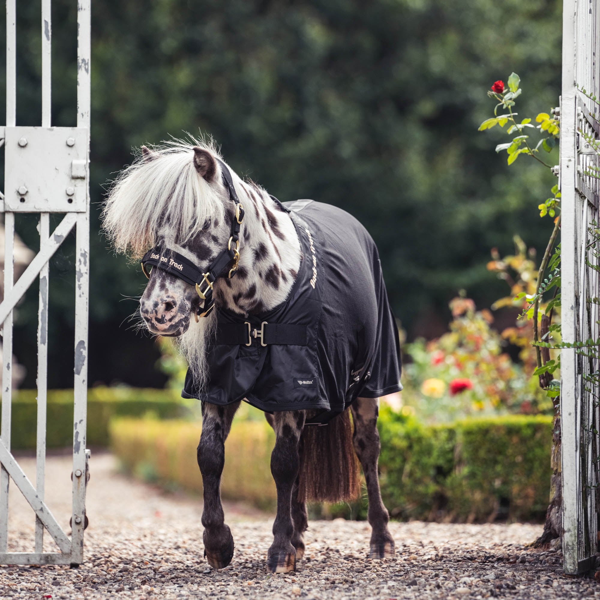 Back On Track Royal Deluxe pony mesh dækken