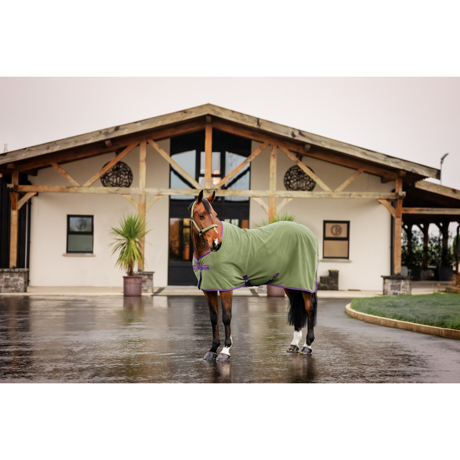 Horseware Amigo Fleece Cooler