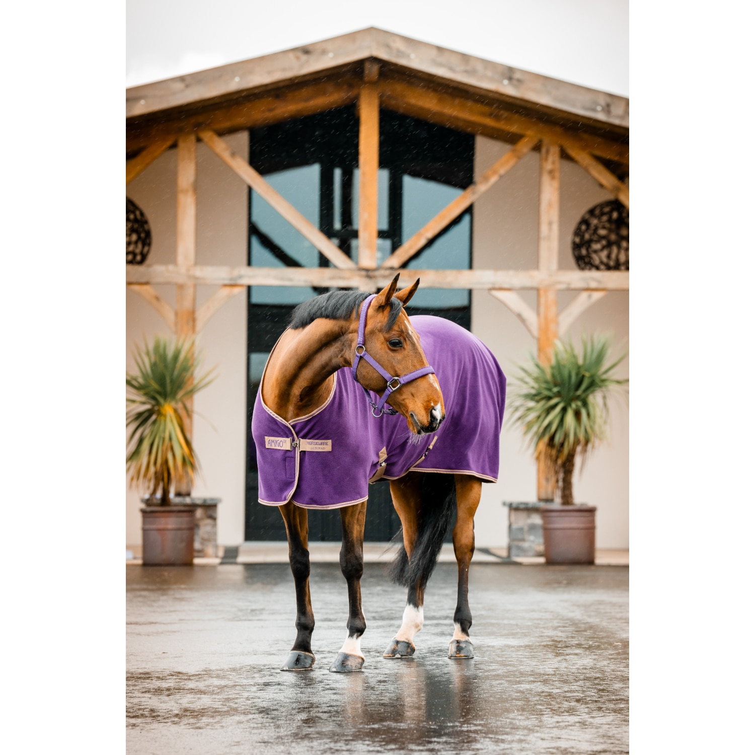 Horseware Amigo Fleece Cooler