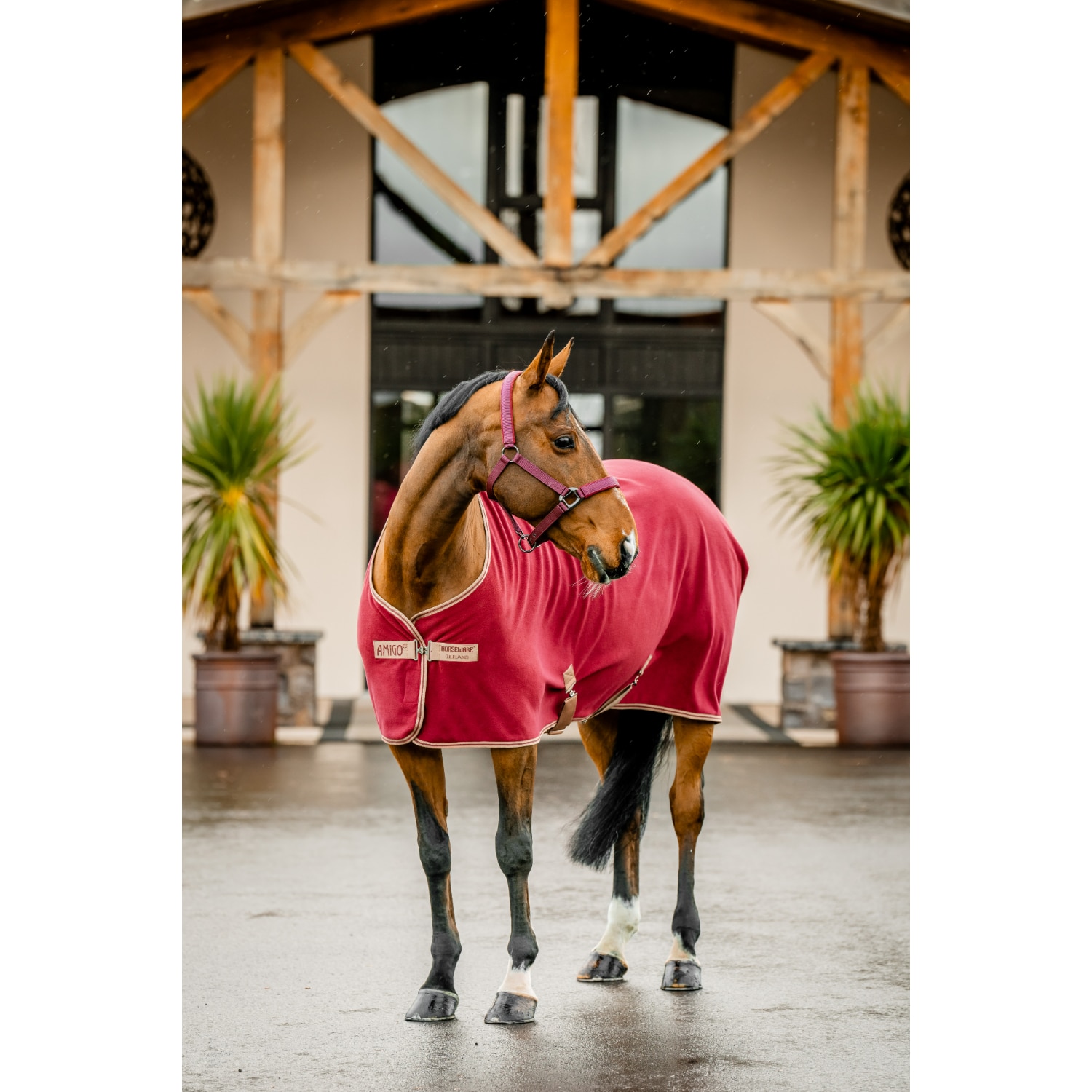 Horseware Amigo Fleece Cooler