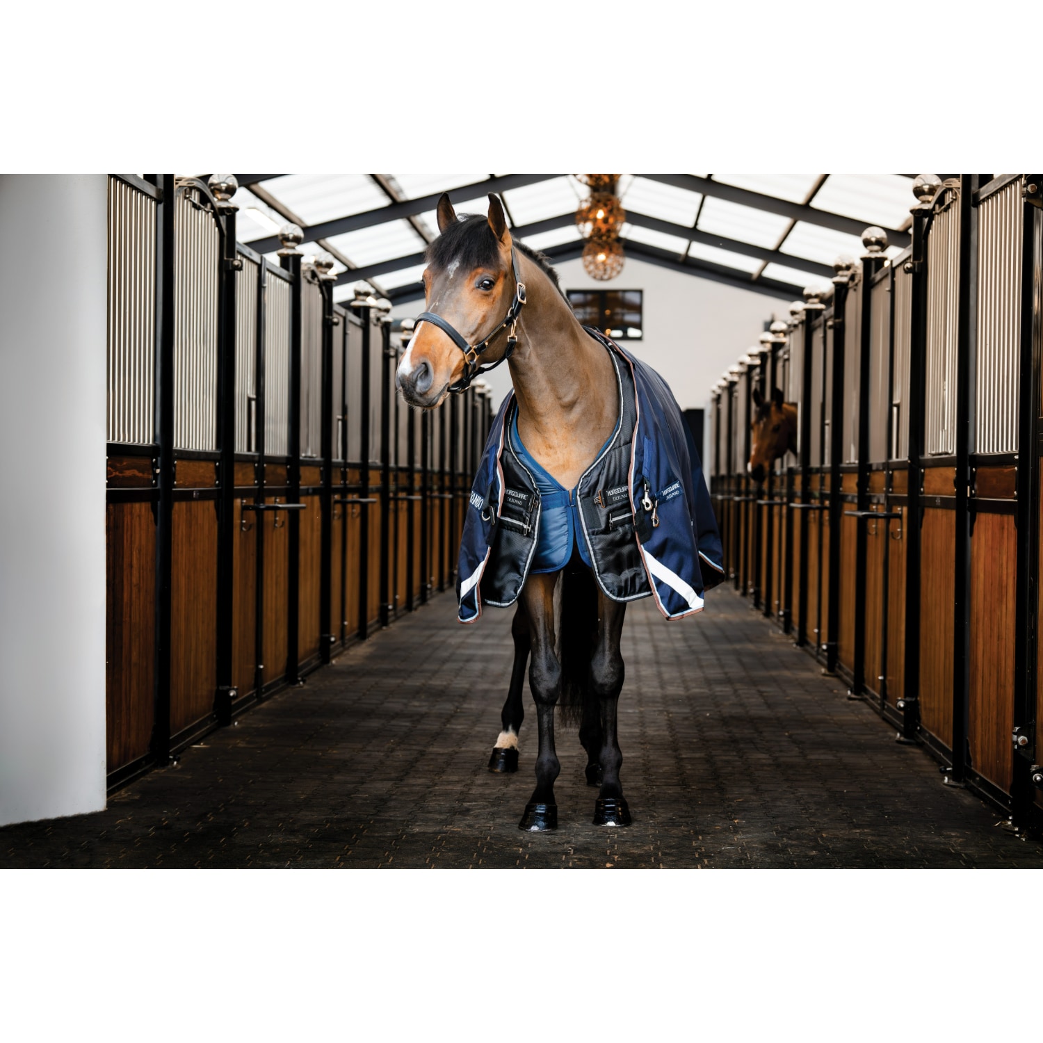 Horseware® Easy-Layer Stalldecke (100g Leicht)