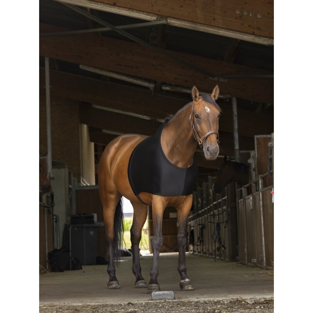 EQUITHÈME Shoulder protection