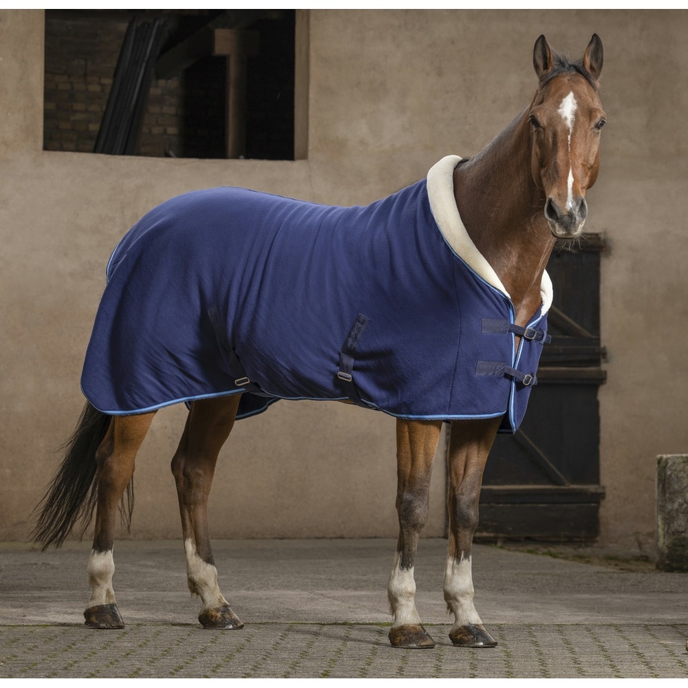 RIDING WORLD "Confort” Rug