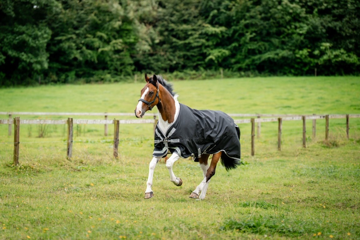Horseware Amigo 1200D XL Weidedecke 50g