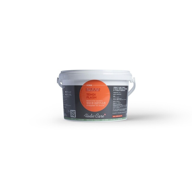 Alodis Care Tendi Flash Lehm Paste 3kg