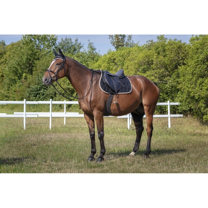 Equithème Polyfun Saddle Pad