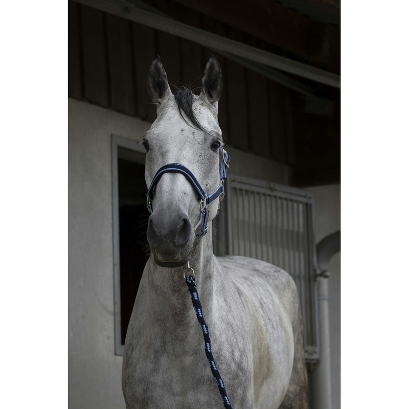 Equithème Satiné Headcollar + Lead Rope