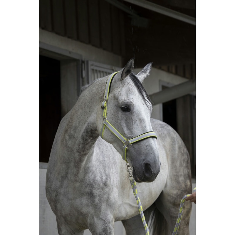 Equithème Satiné Headcollar + Lead Rope
