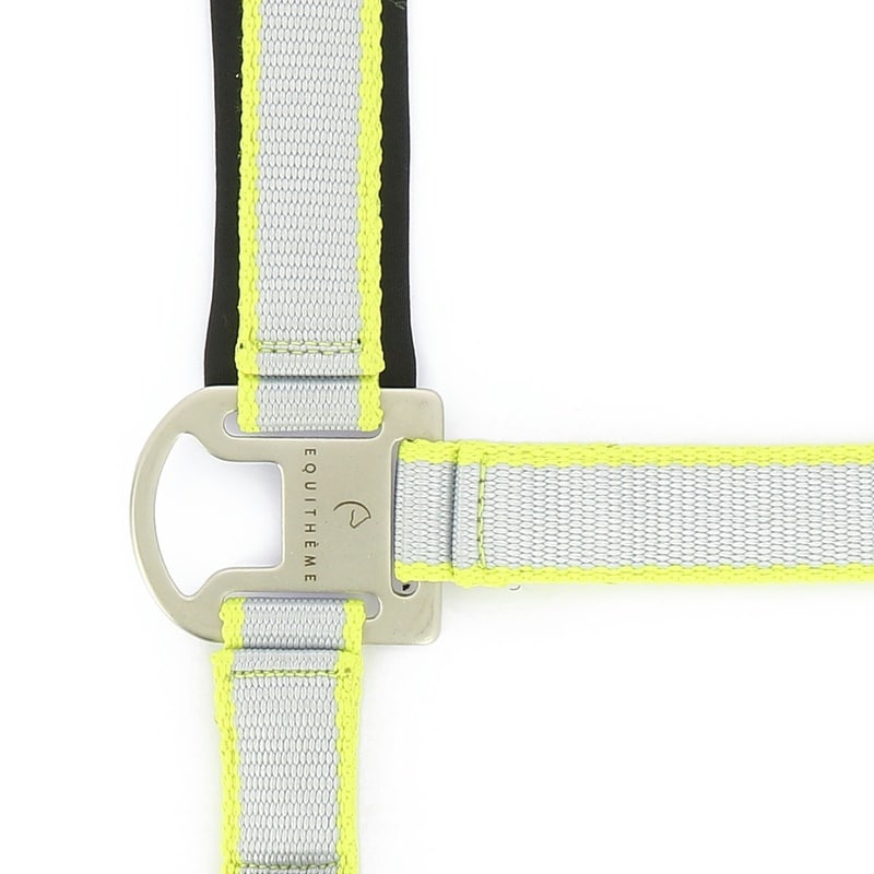 Equithème Satiné Headcollar + Lead Rope