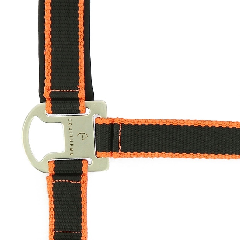 Equithème Satiné Headcollar + Lead Rope