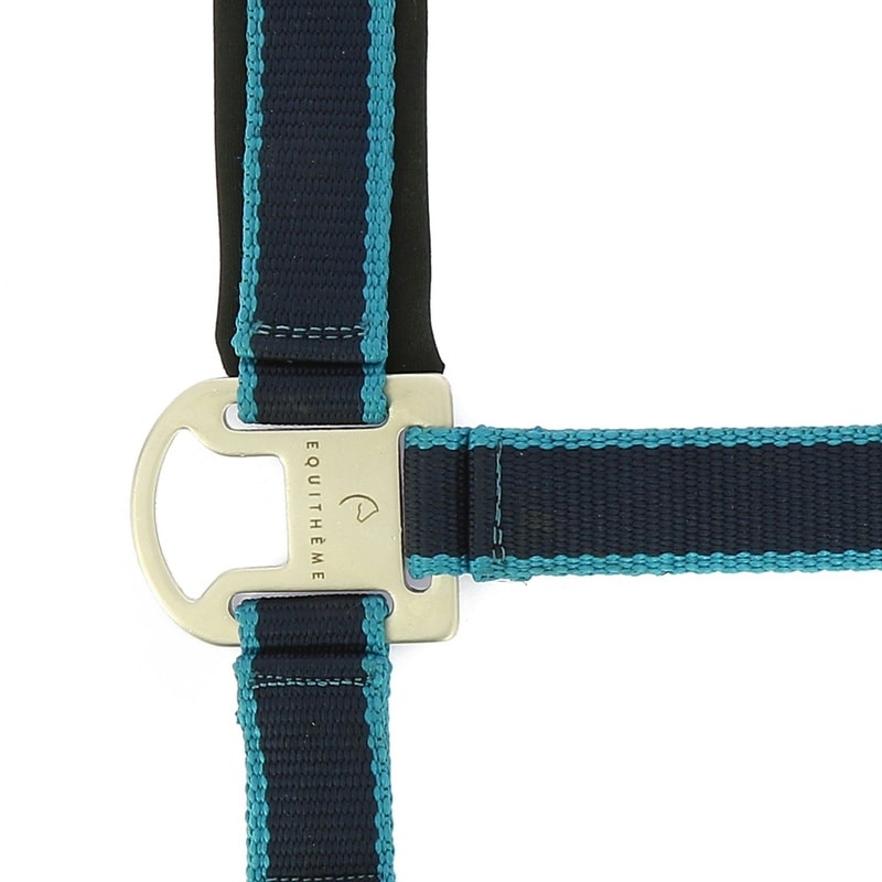 Equithème Satiné Headcollar + Lead Rope