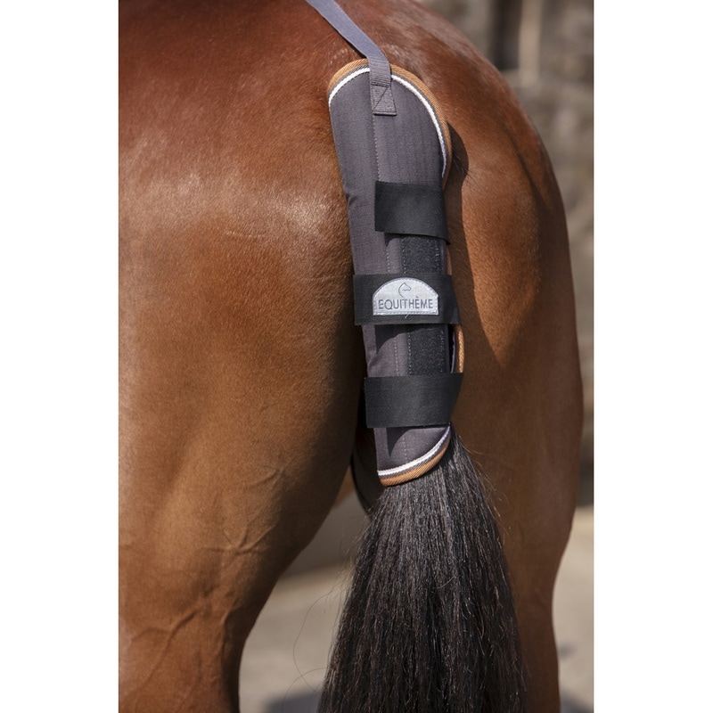 Equithème Tyrex 600 D Halebeskytter