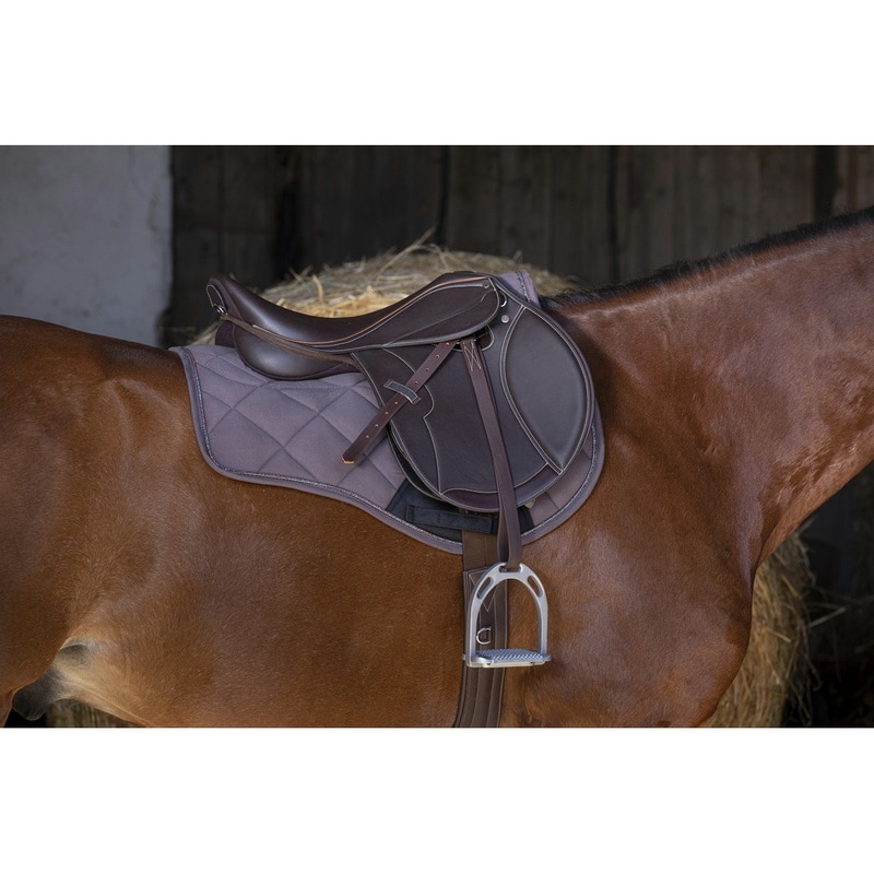 Norton Club Rexine Evol Close Contact Saddle