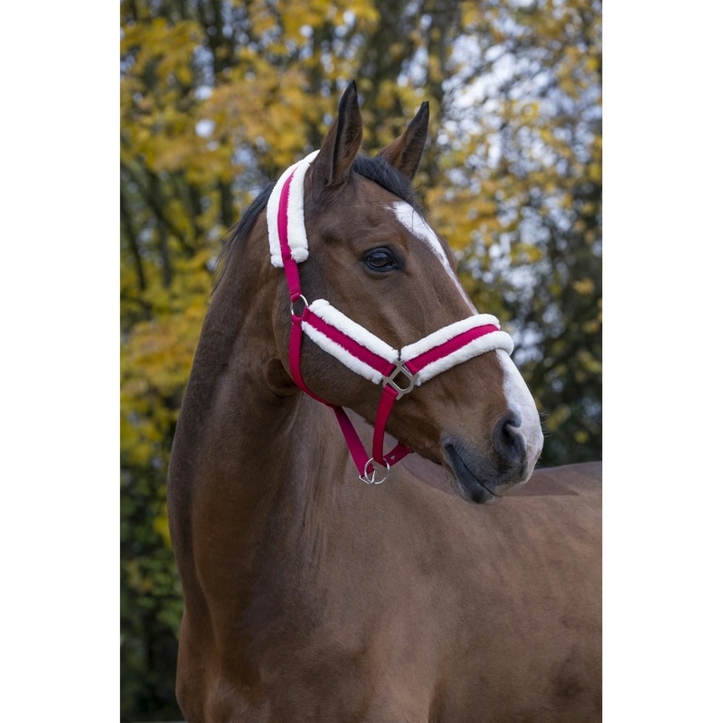 Capezza Norton Confort
