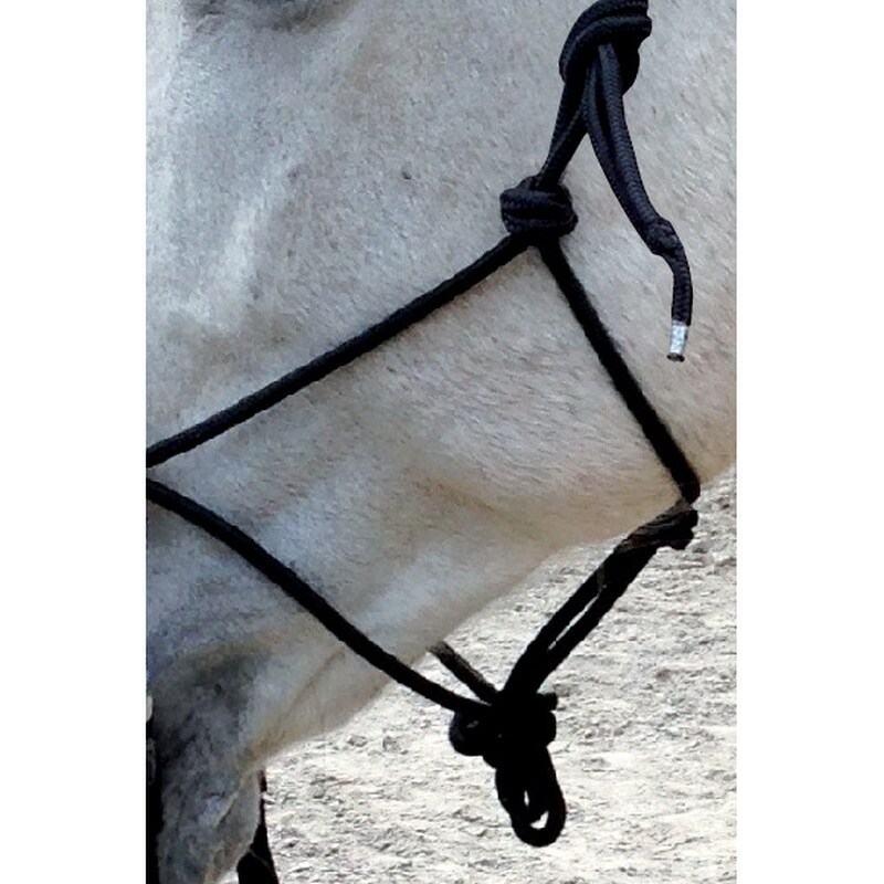 Norton Licol Éthologique avec Longes