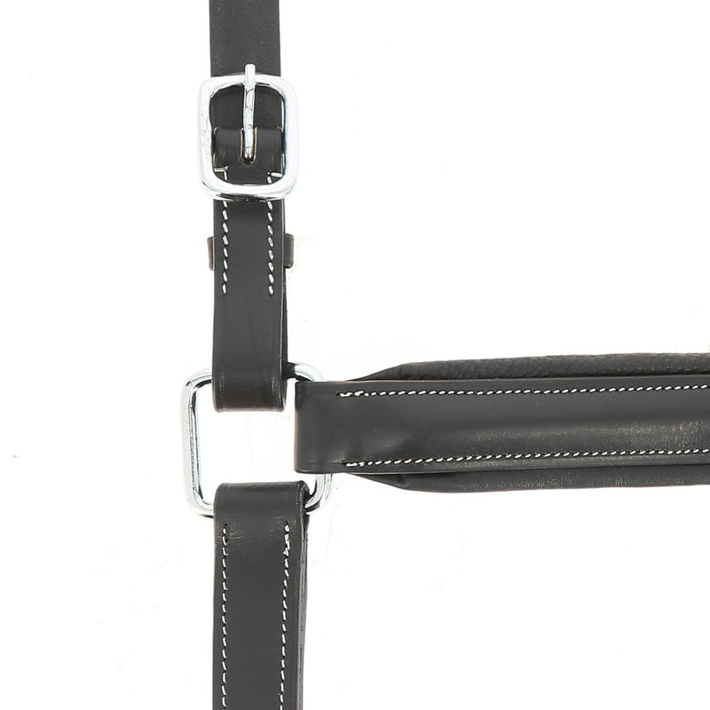 Norton Pro Anatomisches Halfter