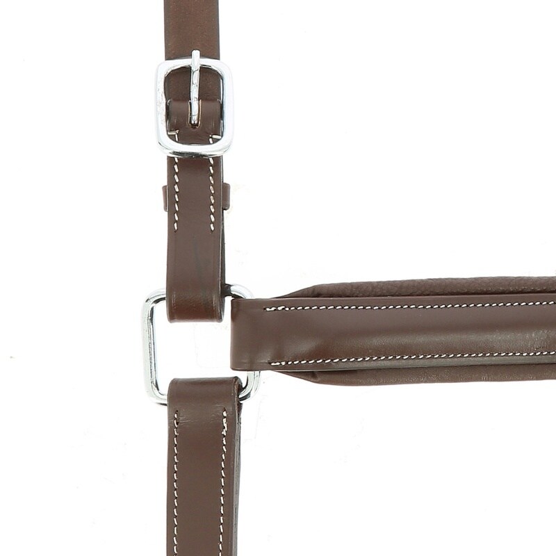 Norton Pro Anatomisches Halfter