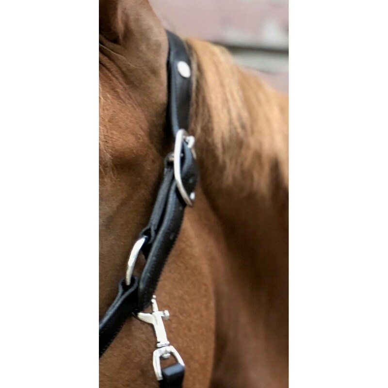 Norton Pro Anatomisches Halfter
