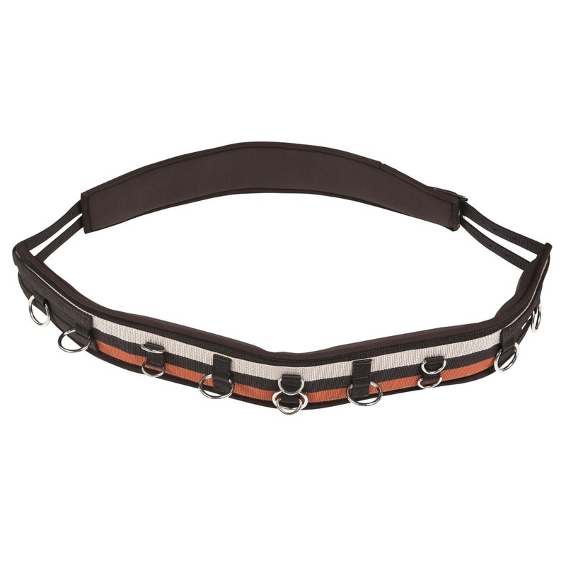 Norton Synthetic Lunging Surcingle