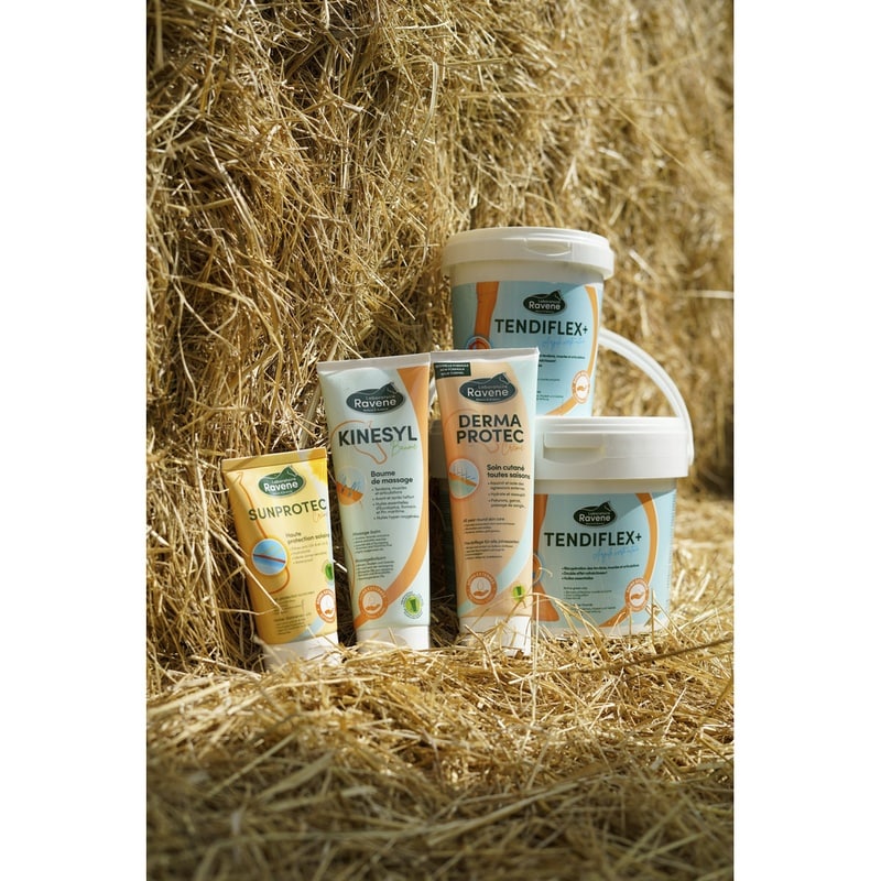 Ravene Kinesyl 250 ml