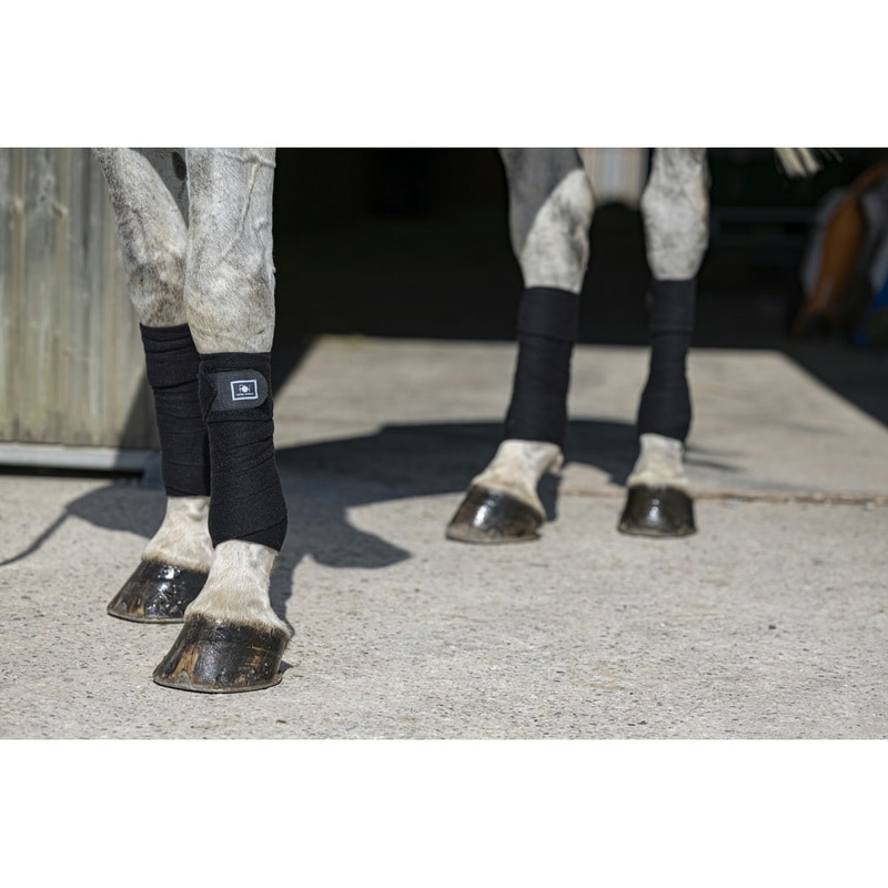 Riding World Eco Polo-Bandagen (Satz von 4)