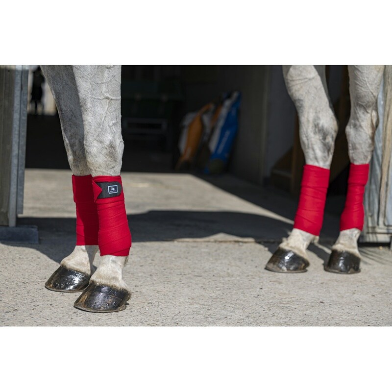 Riding World Eco Polo-Bandagen (Satz von 4)