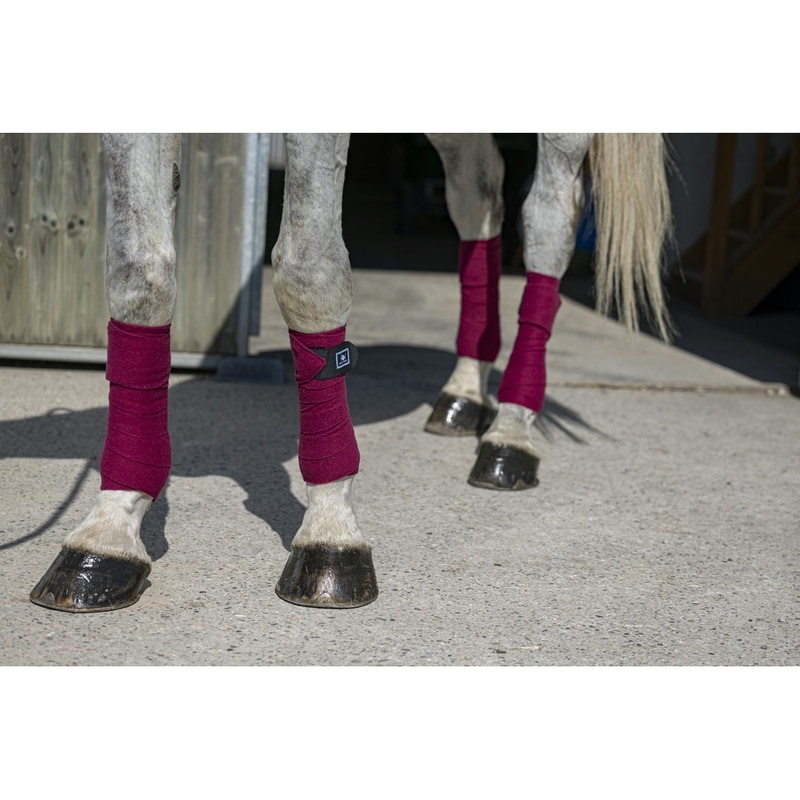 Riding World Eco Polo-Bandagen (Satz von 4)