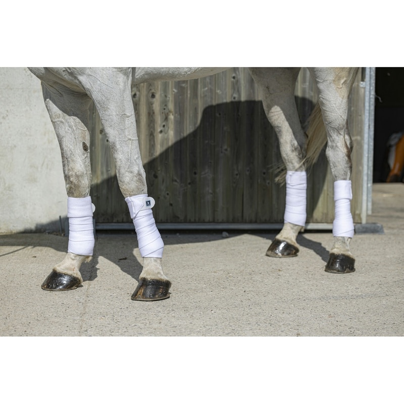 Riding World Eco Polo-Bandagen (Satz von 4)