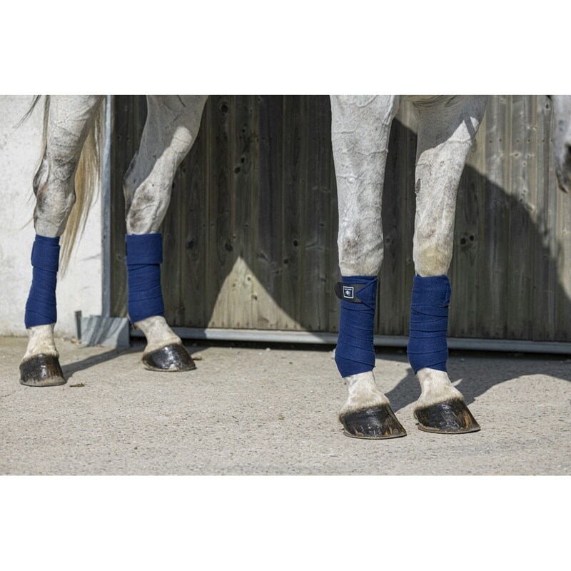 Riding World Eco Polo-Bandagen (Satz von 4)