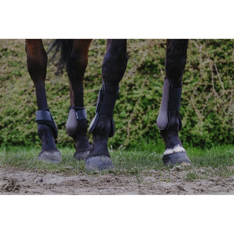 Riding World Gamaschen für die Hinterbeine