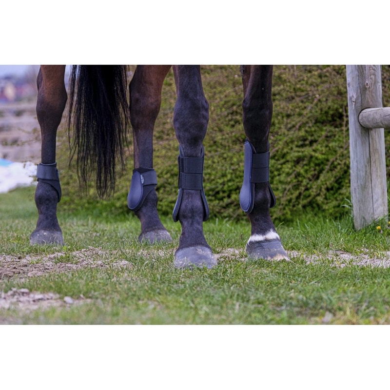 Riding World Gamaschen für die Hinterbeine