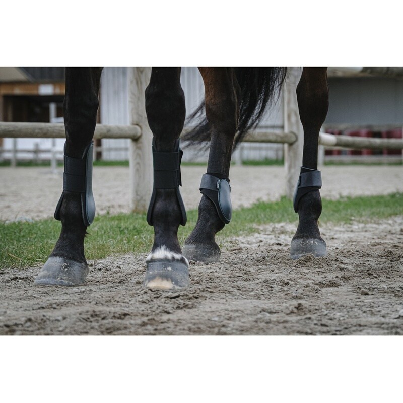 Riding World Gamaschen für die Hinterbeine