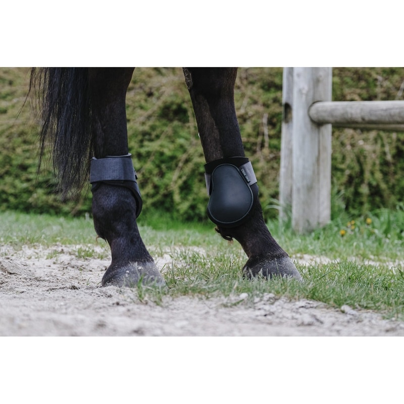 Riding World Gamaschen für die Hinterbeine