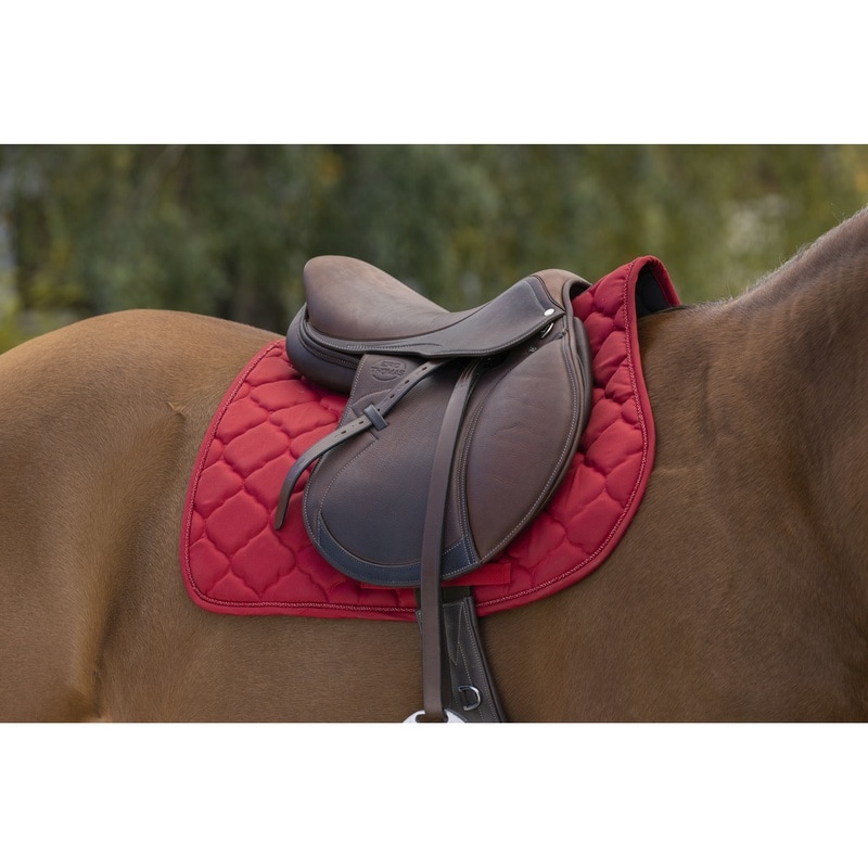 Riding World Rep AP Allround Schabrak