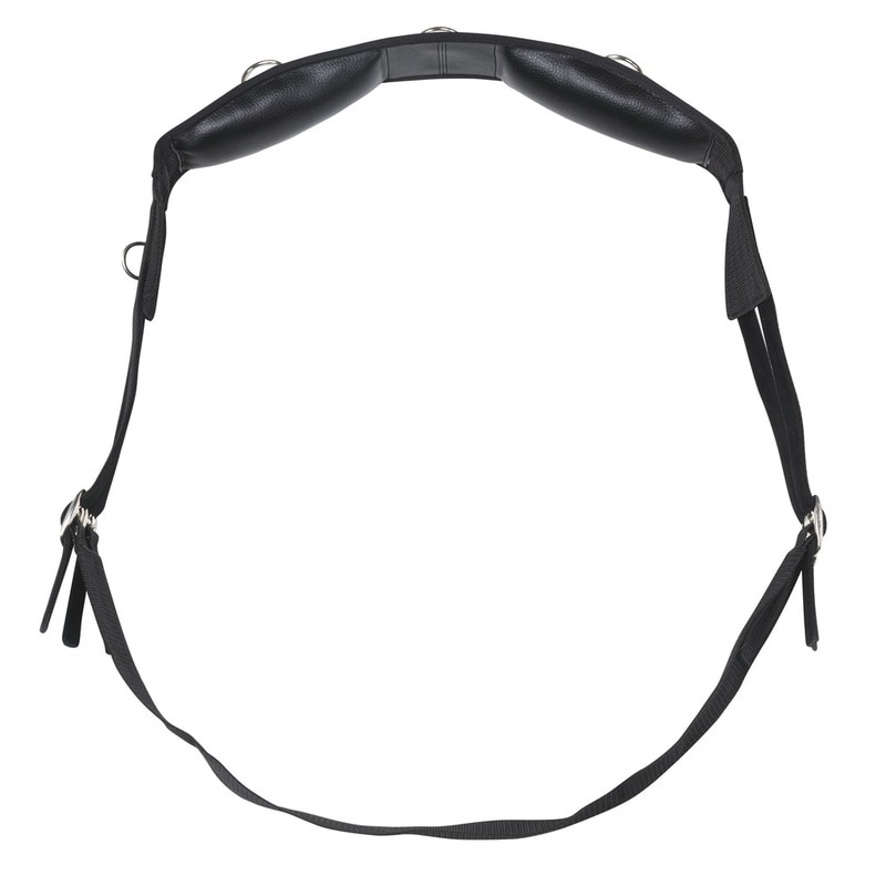 Riding World Synthetic Riding World Lunging Roller