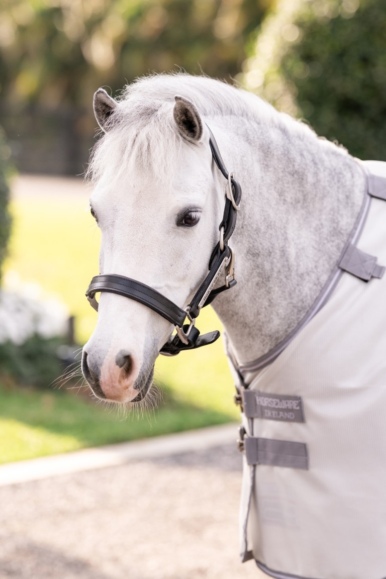 Horseware Amigo Fliegendecke Pony